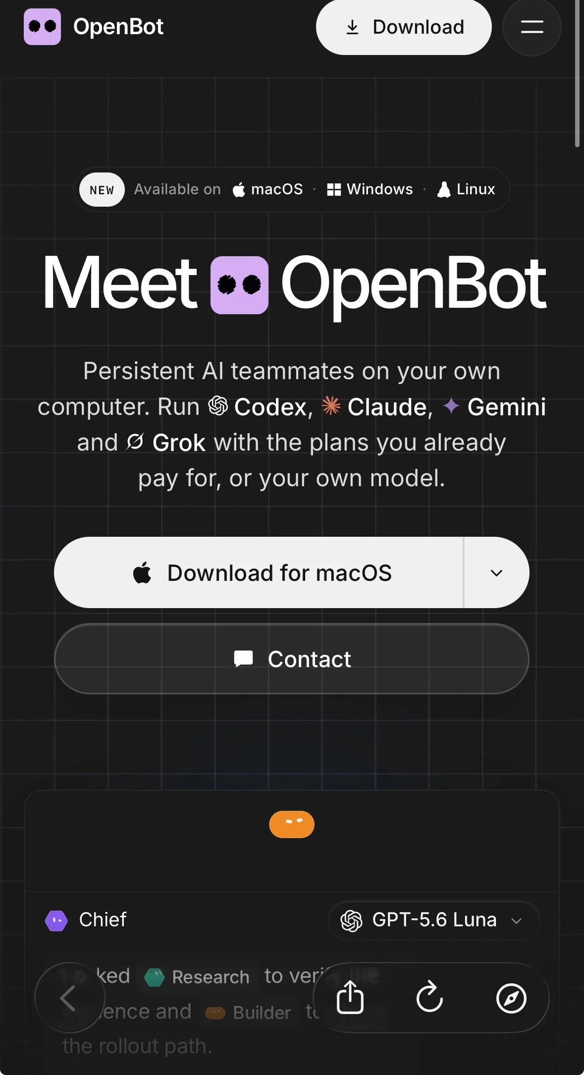 Openbot 开源替代 Grok Bot？每个同事独立电脑，权限治理方案解析 图片3