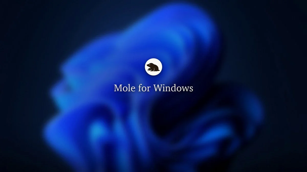 Mole Windows 清理工具怎么用？买断无广告，系统清理与卸载残留教程 视频封面